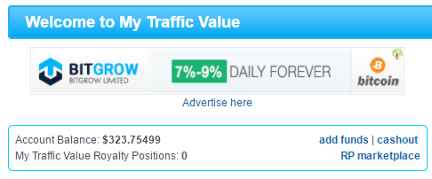 My traffic value homepage