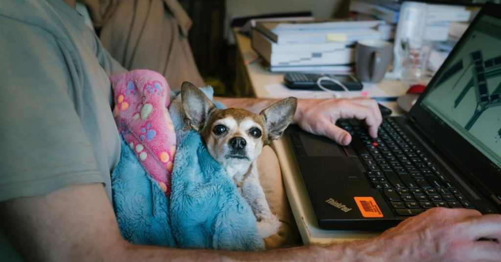 How to Manage Stress When You Work From Home